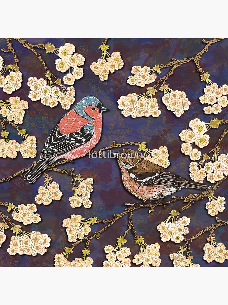 Chaffinches in Cherry Blossom by lottibrown