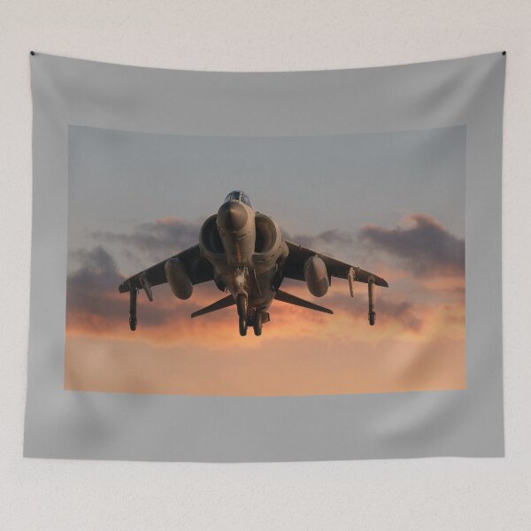 Item preview, Sea Harrier at Sunset designed and sold by Steve H Clark.