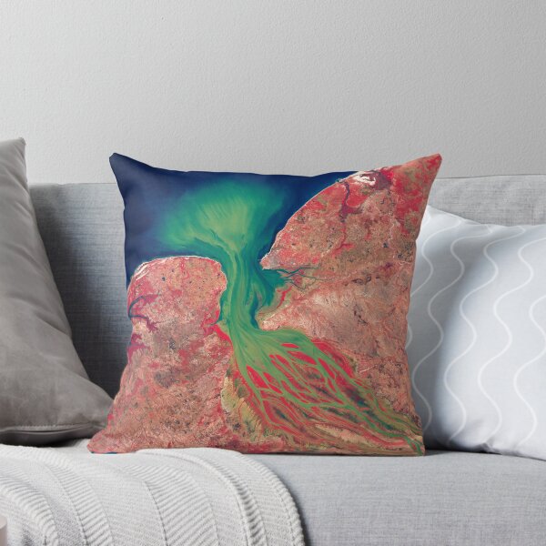 Item preview, Betsiboka river estuary, Madagascar designed and sold by Intrepix.