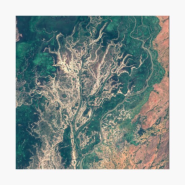 Niger river inland delta in Mali Photographic Print