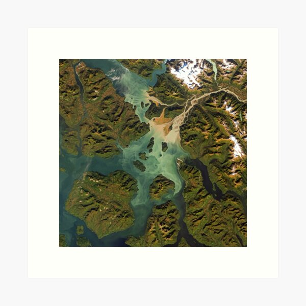 Stikine river estuary in Alaska Art Print