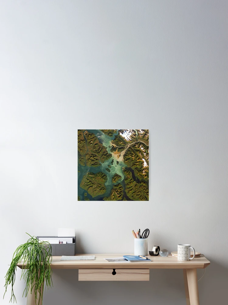 Imagen 2 de 3, Póster con la obra Stikine river estuary in Alaska, diseñada y vendida por Intrepix.
