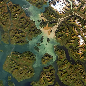 Imagen de la obra Stikine river estuary in Alaska de Intrepix