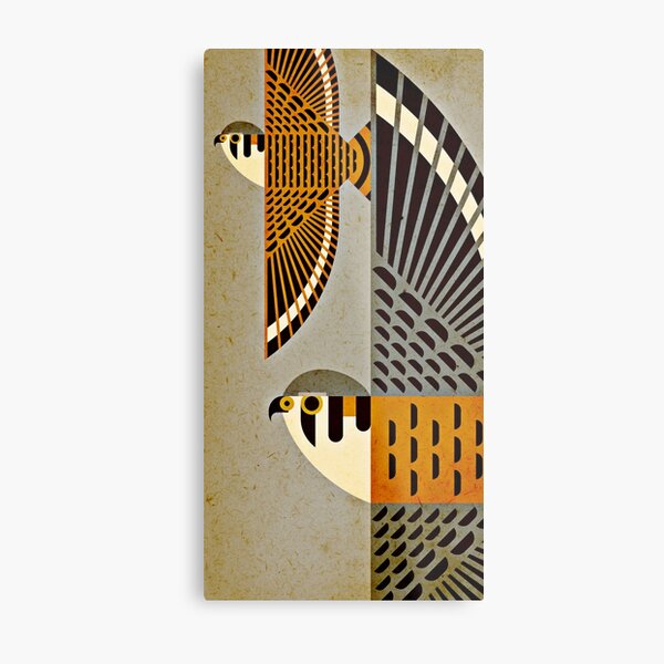 Flying American Kestrels Metal Print