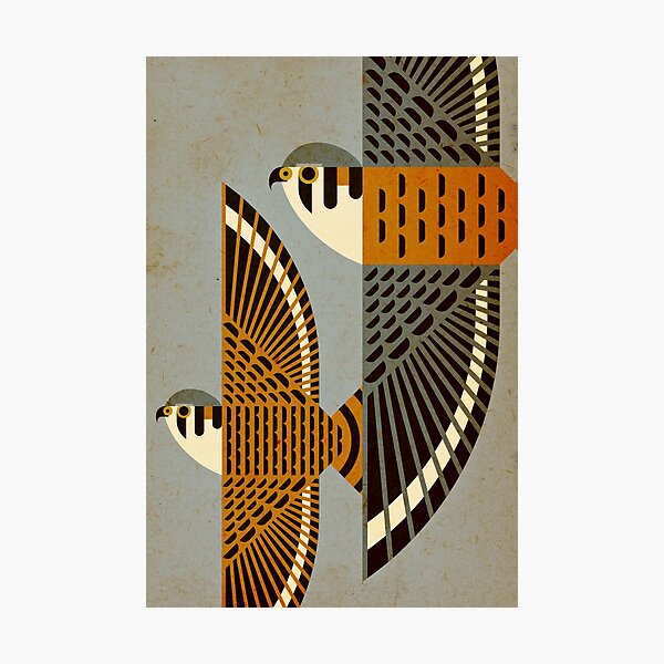 Item preview, Flying American Kestrels 2 designed and sold by Scott Partridge.