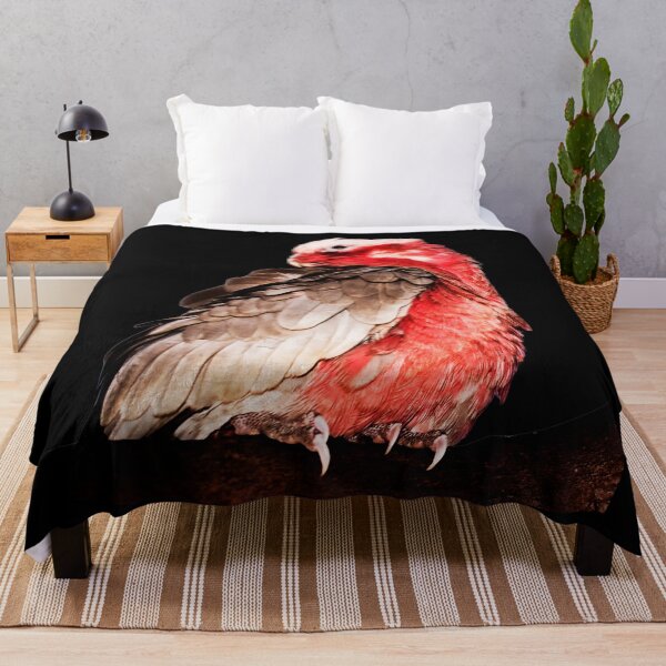 Feathered friends bedding sale hotsell