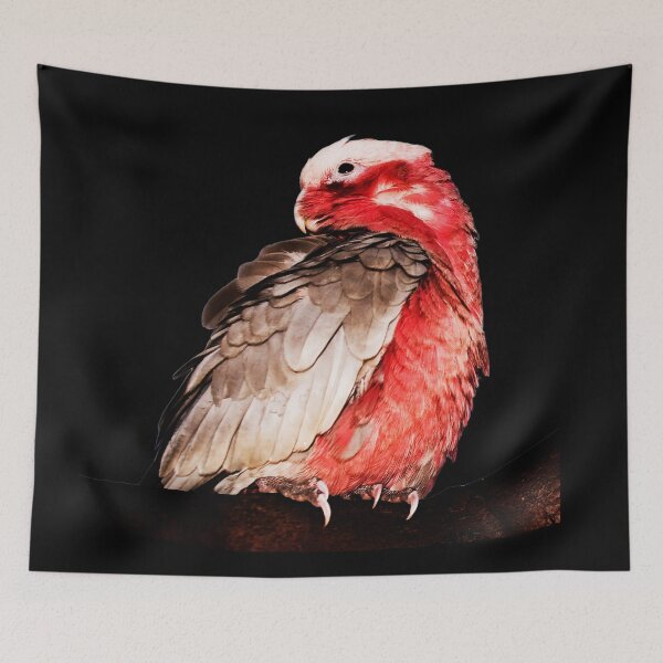 Item preview, Feathered Friends , Galah  designed and sold by Ohlordi.
