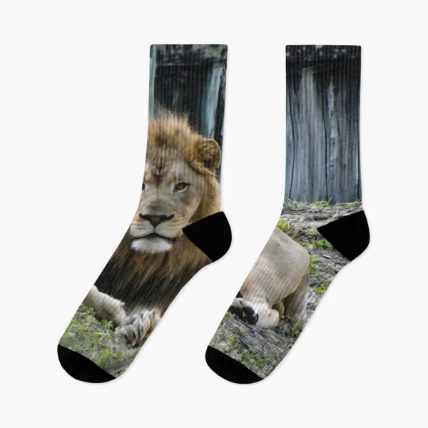 Item preview, King of the Beasts designed and sold by Bob Hardy.
