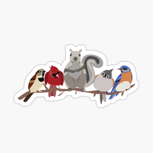 Native backyard virginia birds and gray squirrel Sticker