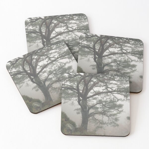 Item preview, Misty Scots Pine designed and sold by Macrae images.