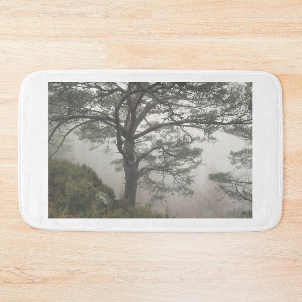 Item preview, Misty Scots Pine designed and sold by Macrae images.