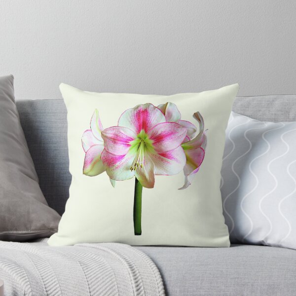 Item preview, Pink and White Amaryllis designed and sold by Susan Savad.