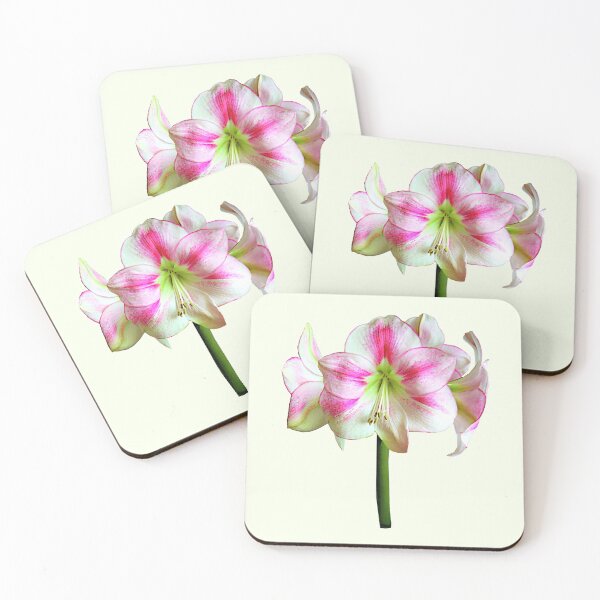Item preview, Pink and White Amaryllis designed and sold by Susan Savad.