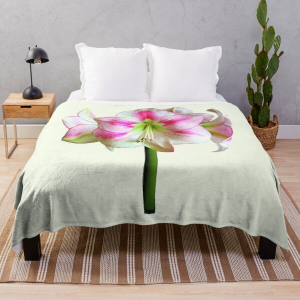 Item preview, Pink and White Amaryllis designed and sold by Susan Savad.