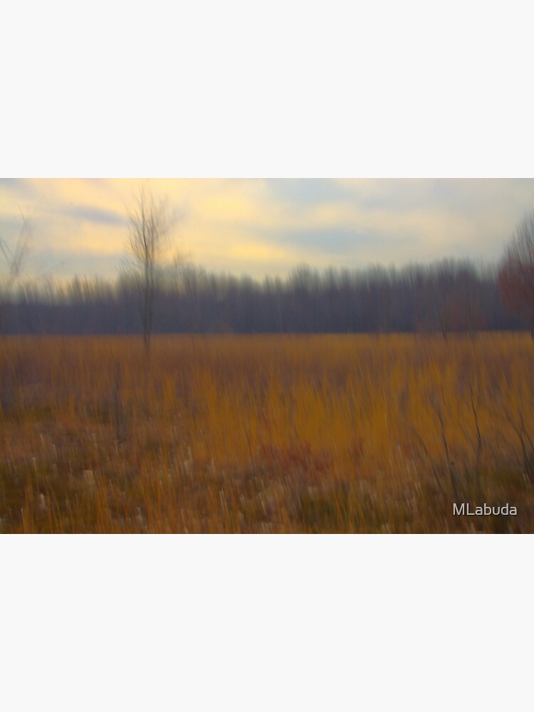 Oak Openings Prairie Afternoon by MLabuda