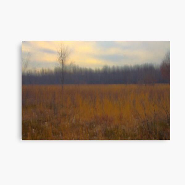 Oak Openings Prairie Afternoon Canvas Print