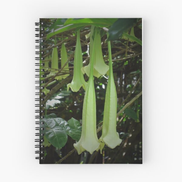 Item preview, Hawaii plant designed and sold by Angel35.