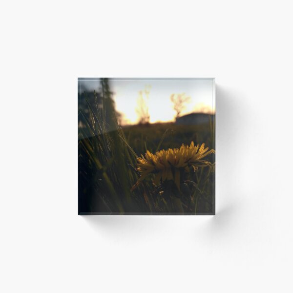Item preview, flowers designed and sold by dylansvx.
