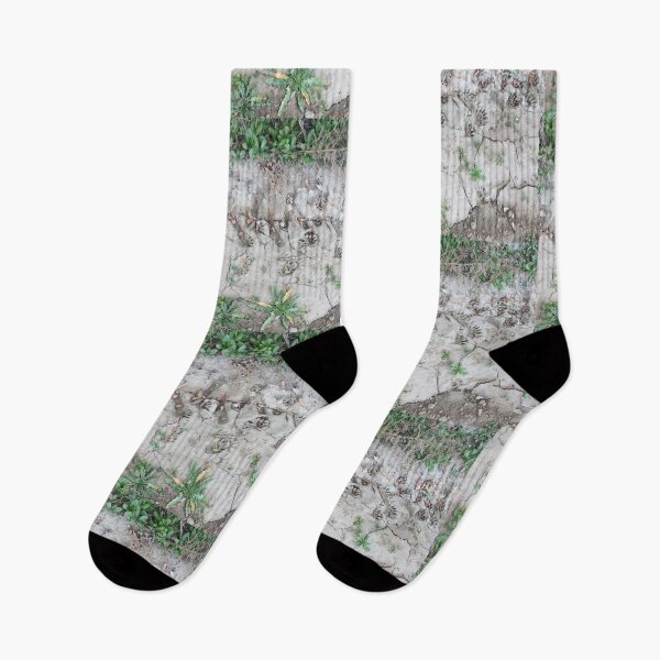 Item preview, Raccoon Blvd. designed and sold by Diane Arndt.
