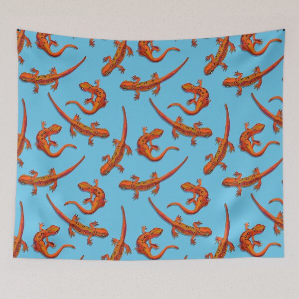Item preview, Eastern Newts Orange on Blue by Robert Phelps designed and sold by RobertPhelpsArt.