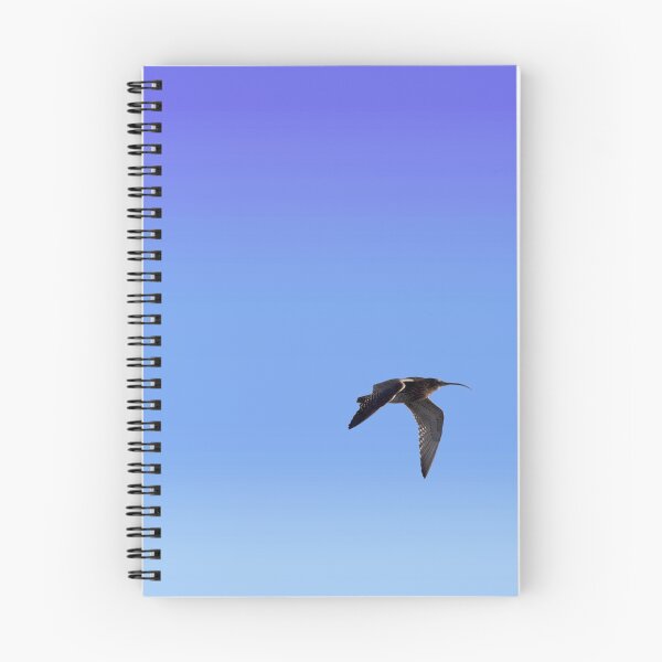 Artikelvorschau, Brachvogel entworfen und verkauft von Strigiforma.