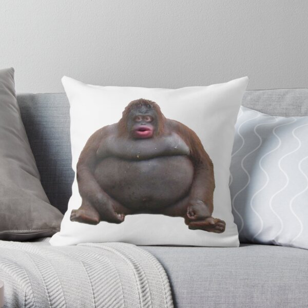 https://ih1.redbubble.net/image.984183309.6121/throwpillow,small,600x-bg,f8f8f8-c,0,120,600,600.jpg