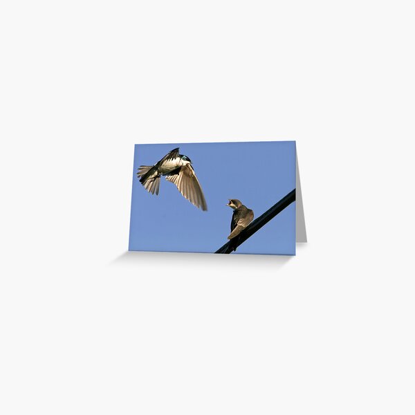 Food Order Greeting Card