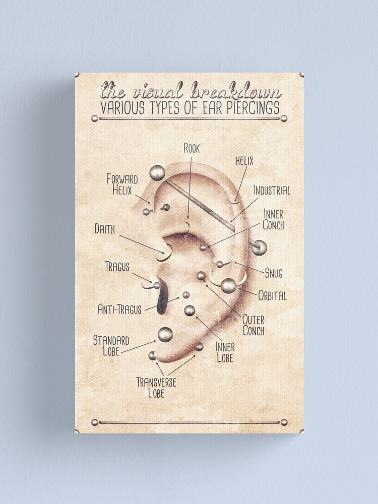 “Ear Piercing Chart, Vintage Grunge” Canvas Print by Jarrod44 | Redbubble