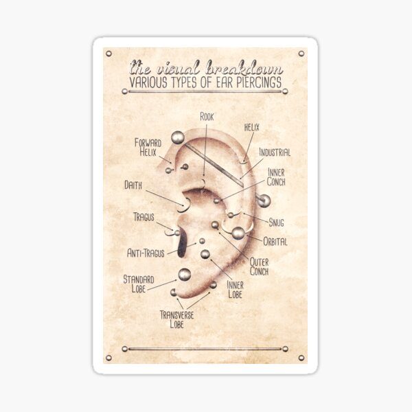 Ear Piercing Chart, Vintage Grunge Sticker