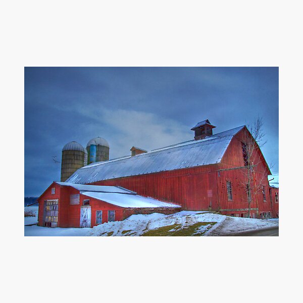 A Cold Snowy Day Photographic Print