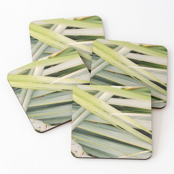 Item preview, Greens close up | Tropical leaves in Punakaiki New Zealand film photography designed and sold by raisazwart.