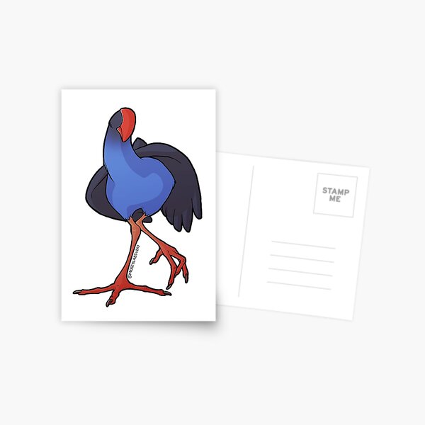 Kooky Pukeko 4 Postcard