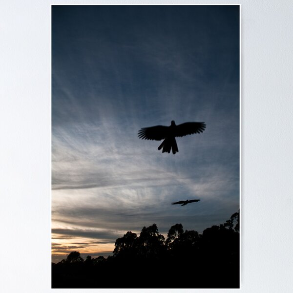 Item preview, Morning Flight designed and sold by Lianne Wooster.