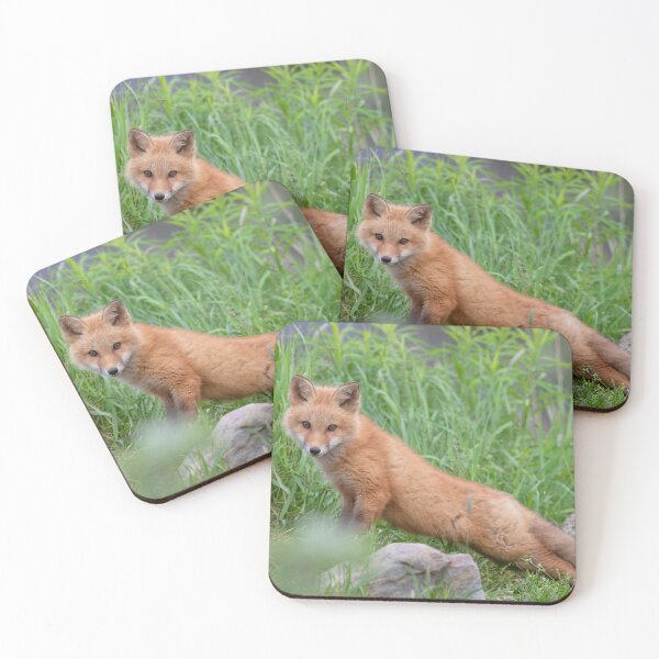 Item preview, Cutie designed and sold by Michel (Mike) Soucy.