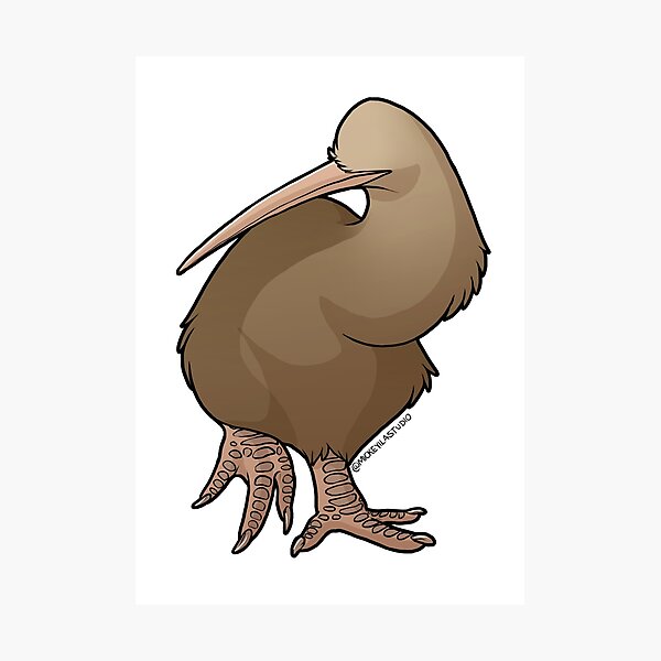 Klutzy Kiwi 2 Photographic Print