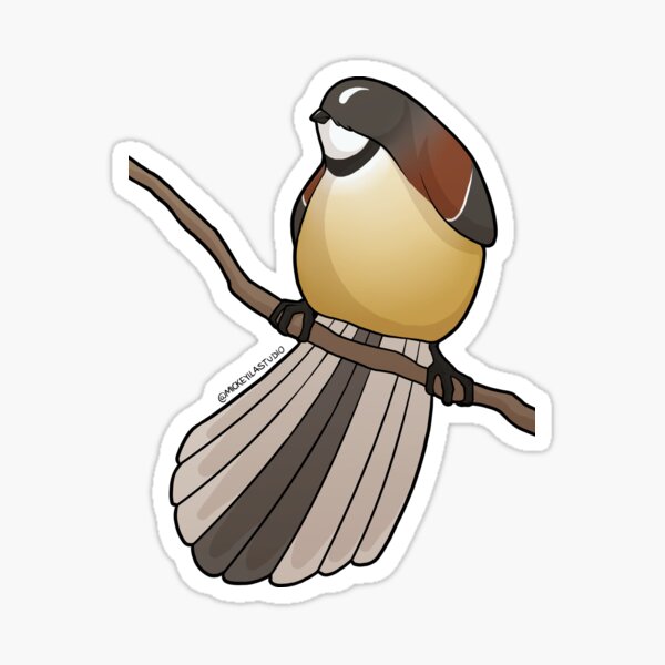 Fatty Fantail 2 Sticker