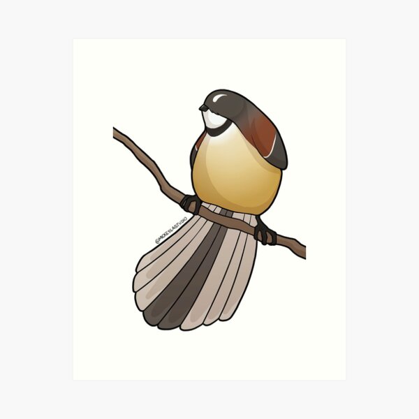 Fatty Fantail 2 Art Print