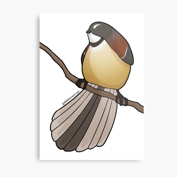 Fatty Fantail 2 Metal Print
