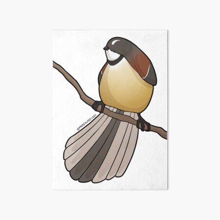 Fatty Fantail 2 Art Board Print