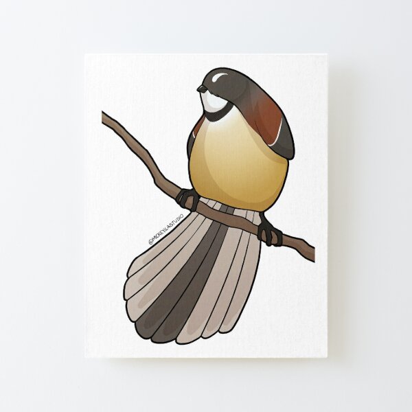 Fatty Fantail 2 Canvas Mounted Print