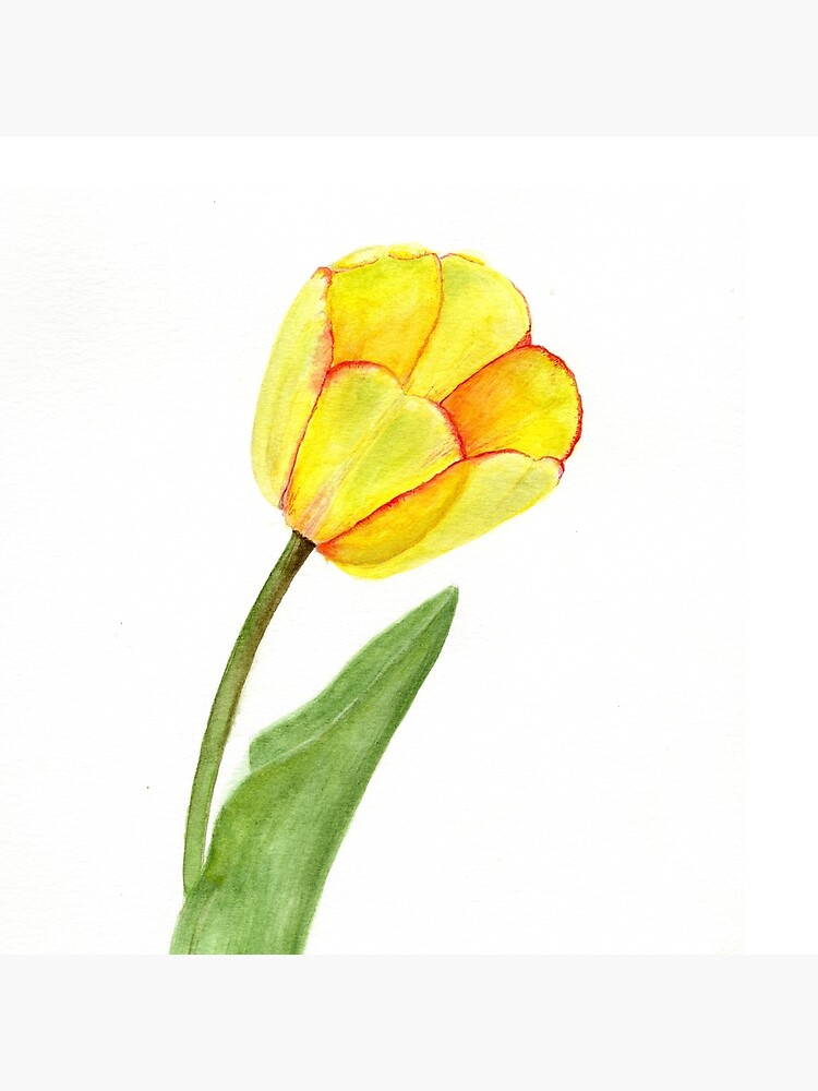 Tote bag « Tulipe jaune aquarelle, dessin aquarelle, tulipe jaune à longue  tige, fleur jaune », par teatimewithtarr | Redbubble