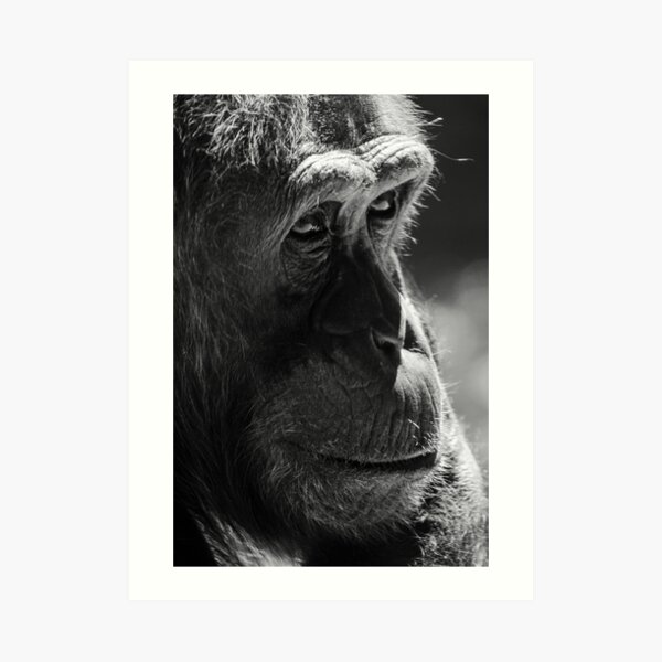 pondering Art Print