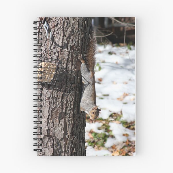 Item preview, Squirrel Pal designed and sold by jodi payne.