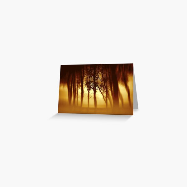 Morning Tree Silhouette(Sepia) Greeting Card