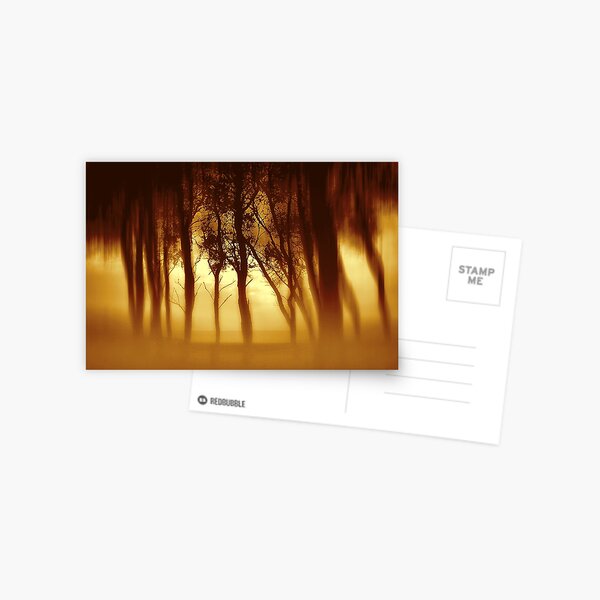 Morning Tree Silhouette(Sepia) Postcard
