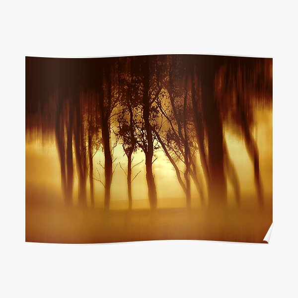 Morning Tree Silhouette(Sepia) Poster