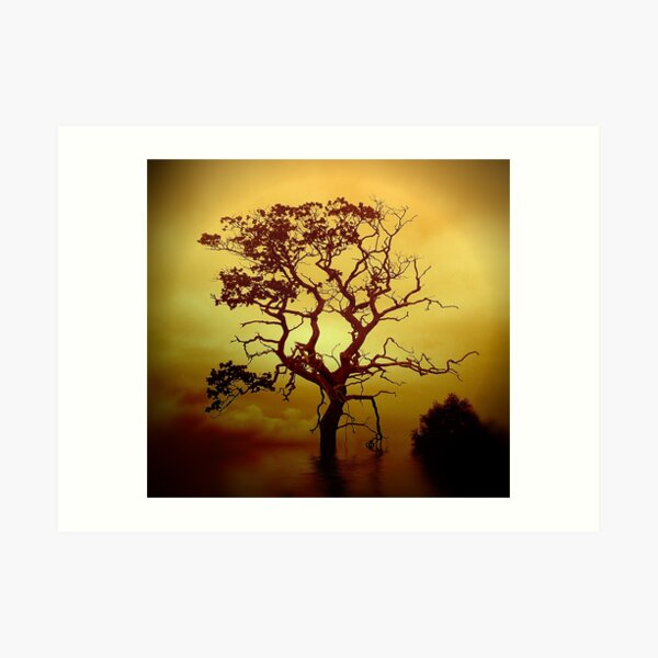 Evening Tree Art Print