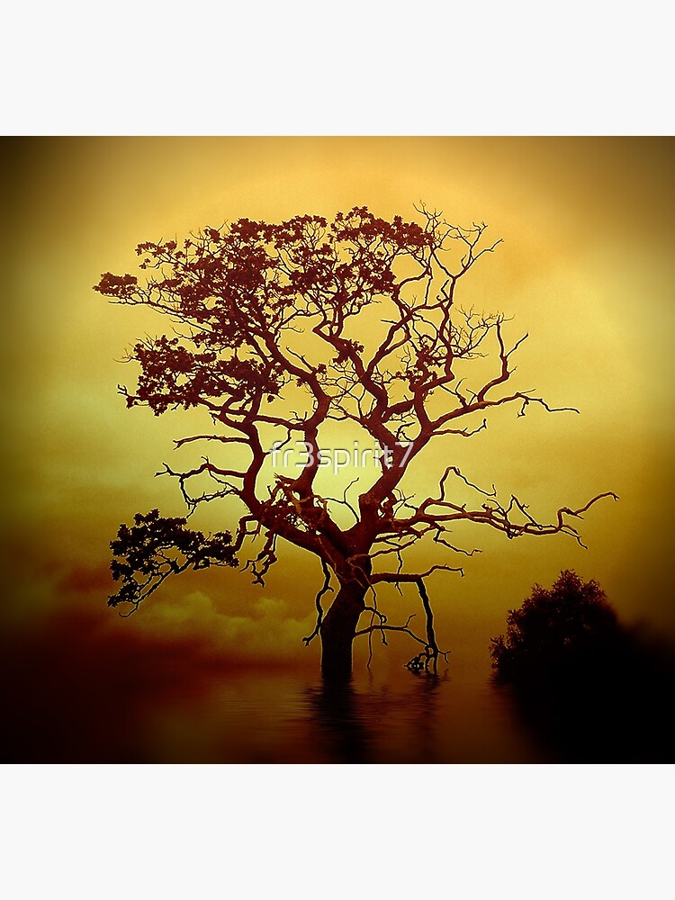 Evening Tree by fr3spirit7