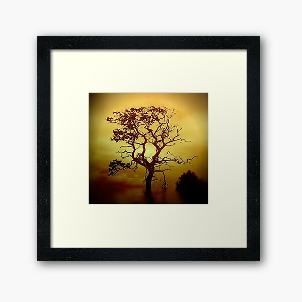 Evening Tree Framed Art Print