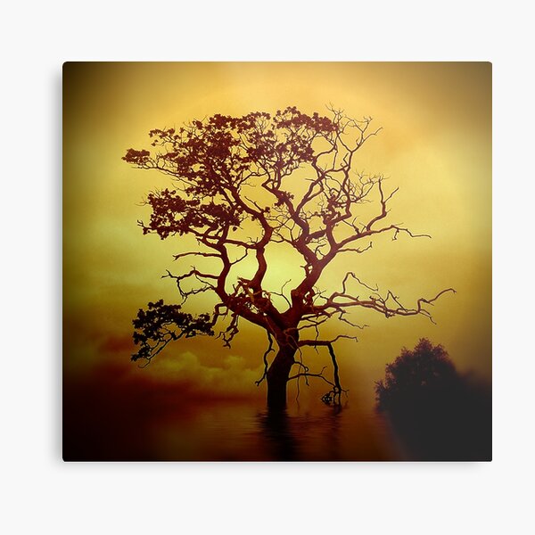 Evening Tree Metal Print